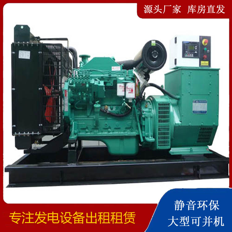 金安出租发电机 柴油发电机不维护对机器有什么影响